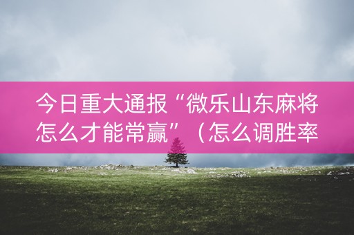 今日重大通报“微乐山东麻将怎么才能常赢”（怎么调胜率)