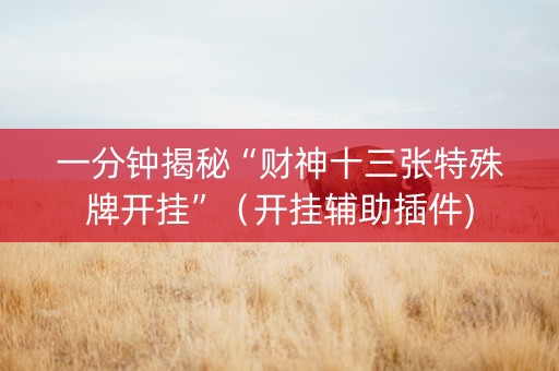 一分钟揭秘“财神十三张特殊牌开挂”（开挂辅助插件)