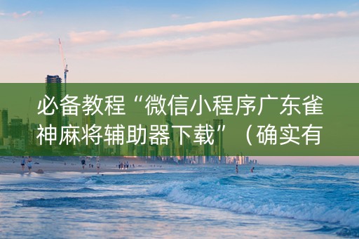 必备教程“微信小程序广东雀神麻将辅助器下载”（确实有插件吗)