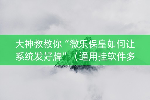 大神教教你“微乐保皇如何让系统发好牌”（通用挂软件多少钱)
