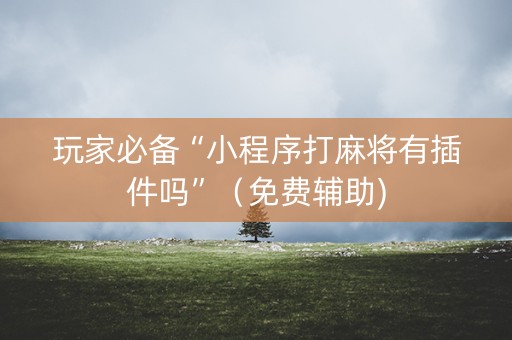 玩家必备“小程序打麻将有插件吗”（免费辅助)