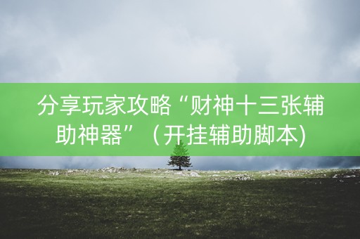 分享玩家攻略“财神十三张辅助神器”（开挂辅助脚本)
