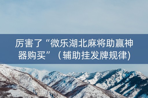 厉害了“微乐湖北麻将助赢神器购买”（辅助挂发牌规律)