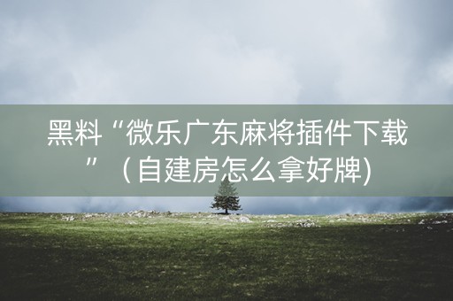 黑料“微乐广东麻将插件下载”（自建房怎么拿好牌)