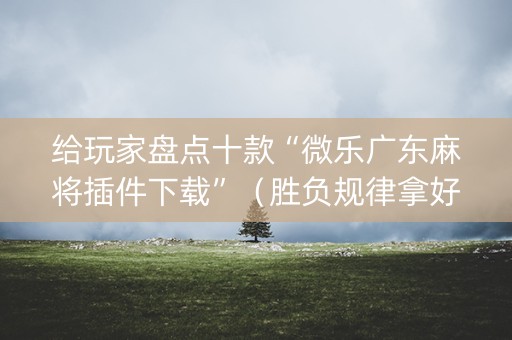 给玩家盘点十款“微乐广东麻将插件下载”（胜负规律拿好牌)