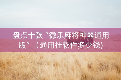 盘点十款“微乐麻将神器通用版”（通用挂软件多少钱)