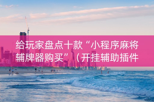 给玩家盘点十款“小程序麻将辅牌器购买”（开挂辅助插件)