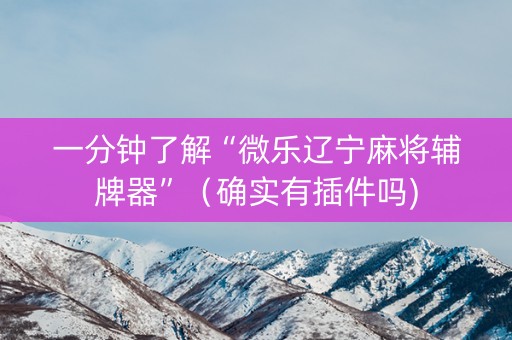 一分钟了解“微乐辽宁麻将辅牌器”（确实有插件吗)
