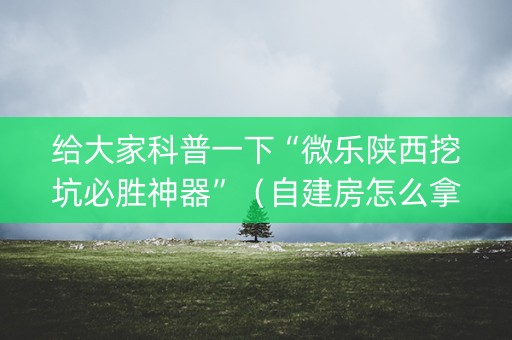 给大家科普一下“微乐陕西挖坑必胜神器”（自建房怎么拿好牌)