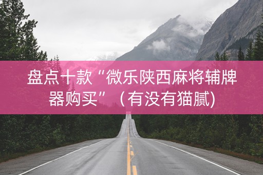 盘点十款“微乐陕西麻将辅牌器购买”（有没有猫腻)