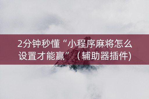 2分钟秒懂“小程序麻将怎么设置才能赢”（辅助器插件)