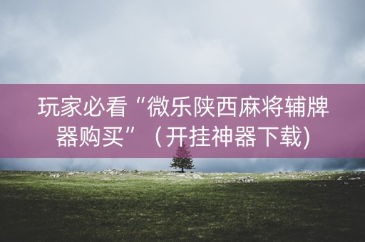 玩家必看“微乐陕西麻将辅牌器购买”（开挂神器下载)