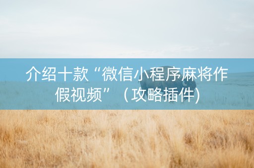 介绍十款“微信小程序麻将作假视频”（攻略插件)
