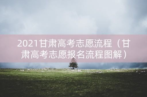2021甘肃高考志愿流程（甘肃高考志愿报名流程图解）