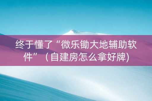 终于懂了“微乐锄大地辅助软件”（自建房怎么拿好牌)