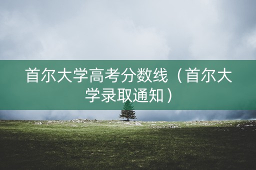 首尔大学高考分数线（首尔大学录取通知）