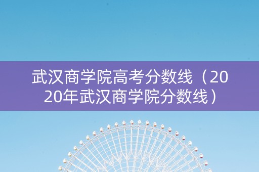 武汉商学院高考分数线（2020年武汉商学院分数线）