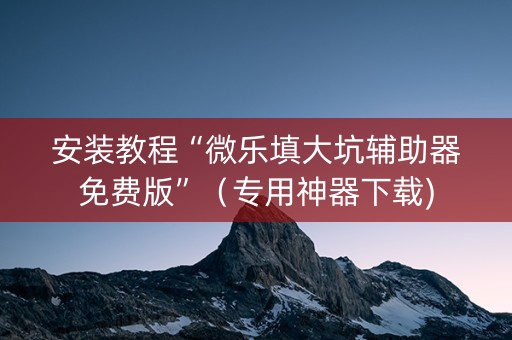 安装教程“微乐填大坑辅助器免费版”（专用神器下载)
