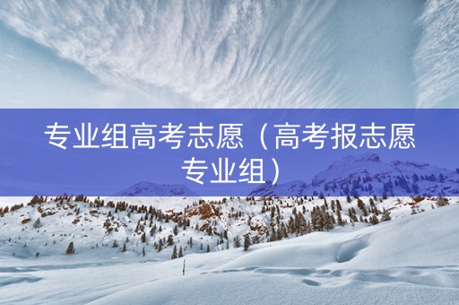 专业组高考志愿（高考报志愿专业组）