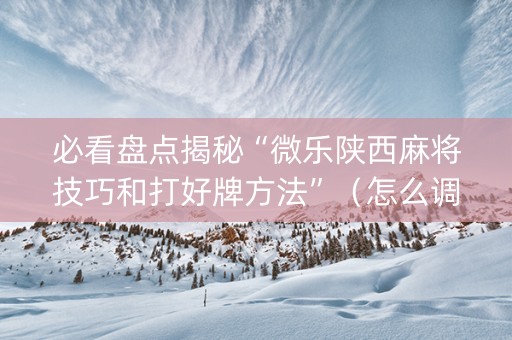 必看盘点揭秘“微乐陕西麻将技巧和打好牌方法”（怎么调胜率)
