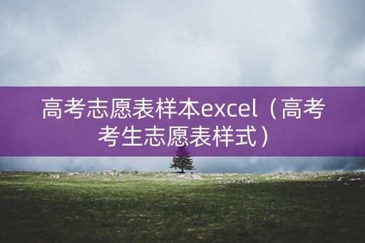 高考志愿表样本excel（高考考生志愿表样式）
