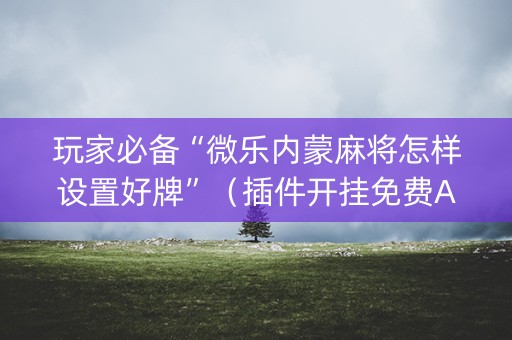 玩家必备“微乐内蒙麻将怎样设置好牌”（插件开挂免费AI)