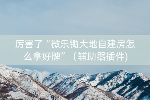 厉害了“微乐锄大地自建房怎么拿好牌”（辅助器插件)