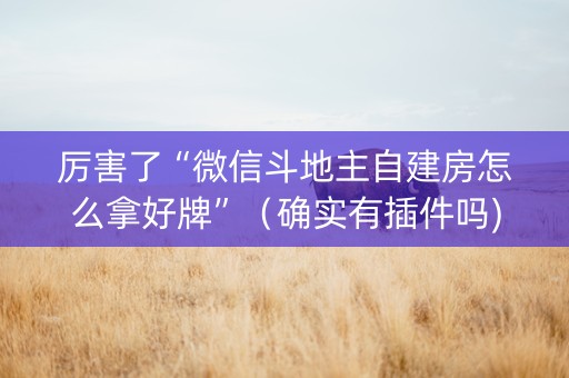 厉害了“微信斗地主自建房怎么拿好牌”（确实有插件吗)