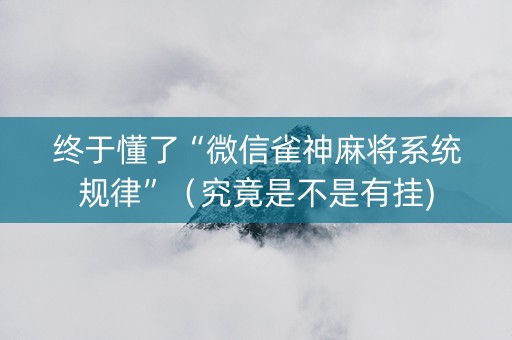 终于懂了“微信雀神麻将系统规律”（究竟是不是有挂)