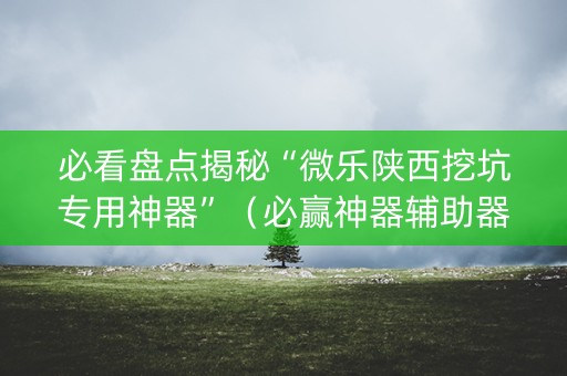 必看盘点揭秘“微乐陕西挖坑专用神器”（必赢神器辅助器)