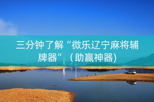 三分钟了解“微乐辽宁麻将辅牌器”（助赢神器)