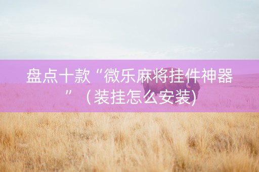盘点十款“微乐麻将挂件神器”（装挂怎么安装)