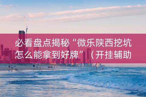 必看盘点揭秘“微乐陕西挖坑怎么能拿到好牌”（开挂辅助插件)