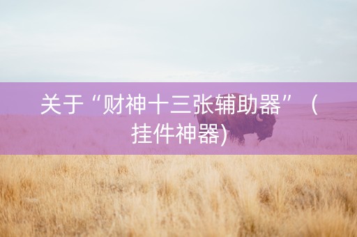 关于“财神十三张辅助器”（挂件神器)
