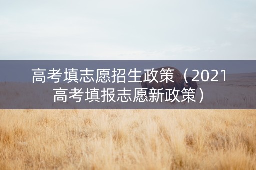 高考填志愿招生政策（2021高考填报志愿新政策）
