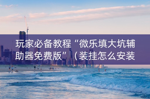 玩家必备教程“微乐填大坑辅助器免费版”（装挂怎么安装)