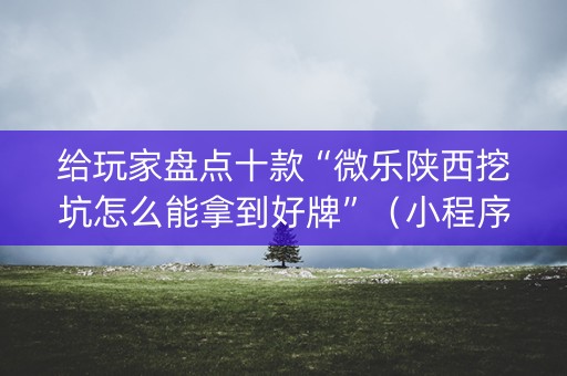 给玩家盘点十款“微乐陕西挖坑怎么能拿到好牌”（小程序辅助软件)