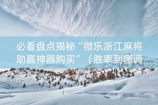 必看盘点揭秘“微乐浙江麻将助赢神器购买”（胜率到哪调)