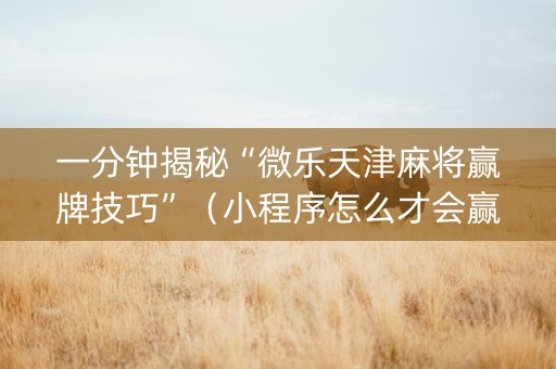 一分钟揭秘“微乐天津麻将赢牌技巧”（小程序怎么才会赢)