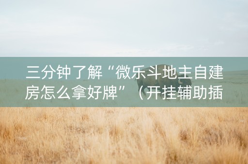 三分钟了解“微乐斗地主自建房怎么拿好牌”（开挂辅助插件)
