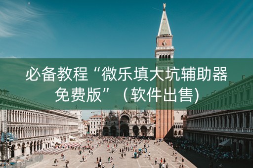 必备教程“微乐填大坑辅助器免费版”（软件出售)