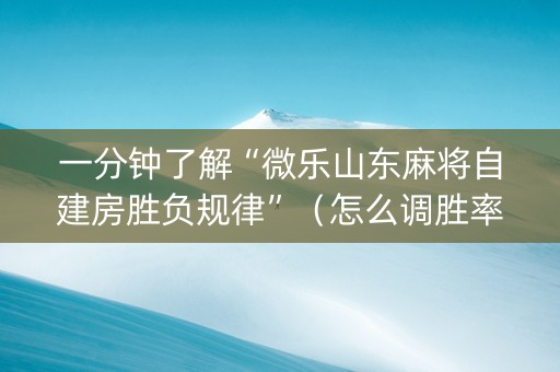一分钟了解“微乐山东麻将自建房胜负规律”（怎么调胜率)