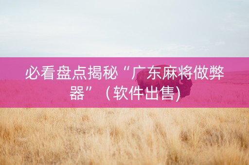 必看盘点揭秘“广东麻将做弊器”（软件出售)