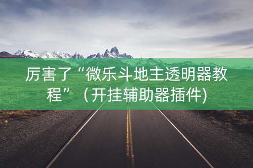 厉害了“微乐斗地主透明器教程”（开挂辅助器插件)
