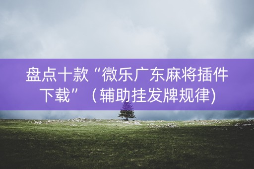 盘点十款“微乐广东麻将插件下载”（辅助挂发牌规律)