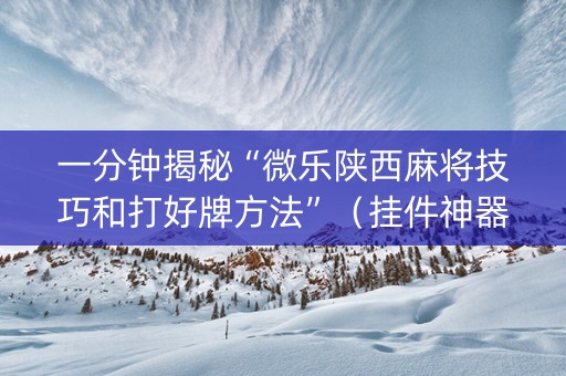 一分钟揭秘“微乐陕西麻将技巧和打好牌方法”（挂件神器)