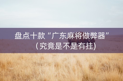 盘点十款“广东麻将做弊器”（究竟是不是有挂)