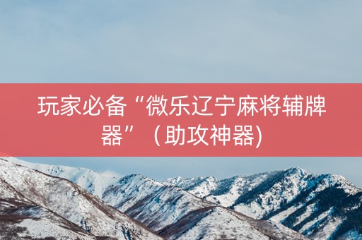 玩家必备“微乐辽宁麻将辅牌器”（助攻神器)