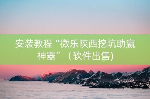 安装教程“微乐陕西挖坑助赢神器”（软件出售)