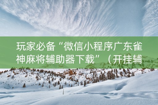 玩家必备“微信小程序广东雀神麻将辅助器下载”（开挂辅助器脚本)